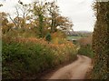 Road approaching Northway Farm