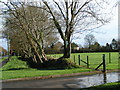 Field next to A3052, east of the White Horse Inn