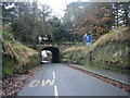 Rake Lane bridge under Chester Approach to Eaton Hall.