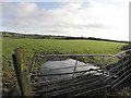 Muddy gate entrance, Brackagh