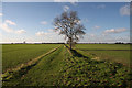 Footpath to Clopton Hall