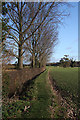 Footpath to Woolpit Heath