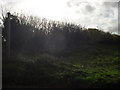 Footpath to Castle Eaton