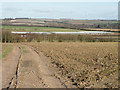 Greenhouses south of Abington