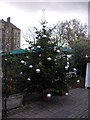 Christmas Tree in Chelsea Farmers Market Sydney Street