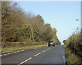 2009 : Minor road heading north to Mells