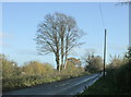 2009 : Minor road to Mells