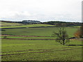 Farmland near East Elrington