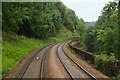 Going over Chalford Arches