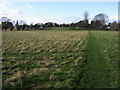 Footpath to Cassington