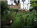 Back gardens along Church Walk