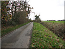 TM1686 : View south along Green Lane by Evelyn Simak