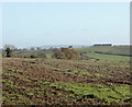 ST7448 : 2009 : Farmland north of the road to Frome by Maurice Pullin
