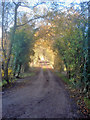 Track from Coneygree Wood