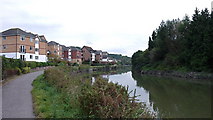 ST6273 : New housing on the Avon, St George, Bristol by Anthony O'Neil