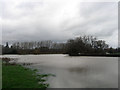 TQ2118 : Flooded Water Meadow, River Adur by Simon Carey