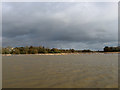 TQ2118 : River Adur in Flood by Simon Carey
