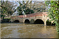 Somerset Bridge on River Wey