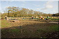 Allotment Gardens, Elstead