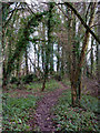 Footpath between pub and church