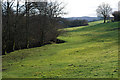 Field above the stream