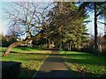 Path Through West End Park