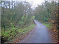 Path through Portland Park