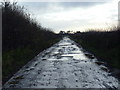 Farm Track, Carr Farm