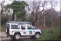 Tree management in Hothfield Common