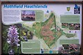 Close-up of Hothfield Heathland Information Board