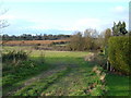 Field Entrance near Sancton