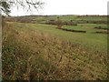 Field southeast of Charlton