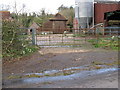 Farmyard at Barland