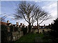 The north side of Rottingdean Churchyard