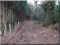 Bridleway adjacent to Warninglid Lane