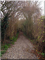 Byway off Wicken Lane