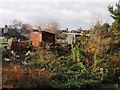 Huts, Havelock Allotments