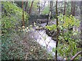 The River Ribble at Swan Bank, Cartworth (Holmfirth)