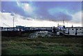 Houseboats, Port Werburgh