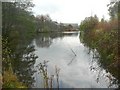 Millpond for Washpit Mills, Cartworth