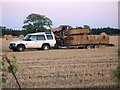 Collecting Straw