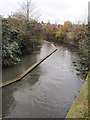 The Wandle at Earlsfield