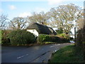 Colehill, thatched cottage