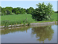 Canal and Pasture near Market Drayton, Staffordshire