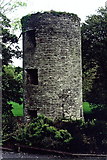 W6075 : Blarney Castle Grounds - Adjacent tower by Joseph Mischyshyn