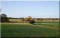 Drainage ditch between two fields near the Hoo transmitter