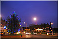 TQ2894 : Christmas tree at Hampden Square by Christine Matthews