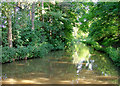 Shropshire Union Canal approaching Tyrley Locks, Staffordshire