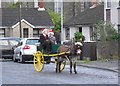 Donkey cart in Conlig