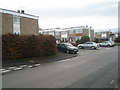 An autumnal hedge in Murray Road